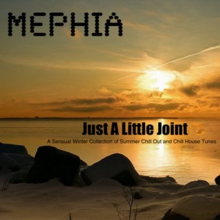 Just a Little Joint (A Sensual Winter Collection of Summer Chill out and Chill House Tunes)