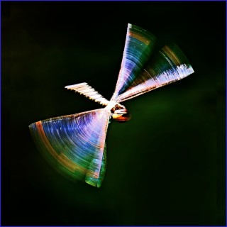 Laumžirgis (Dragonfly)