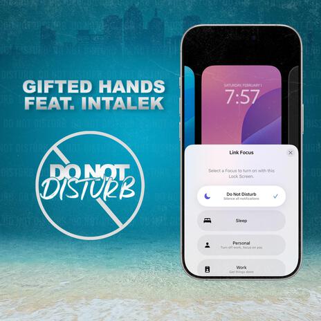 Do Not Disturb ft. Intalek | Boomplay Music