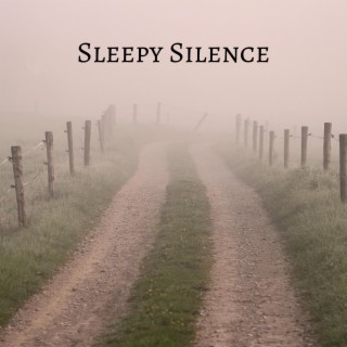 Sleepy Silence