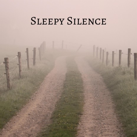 Sleepy Silence | Boomplay Music