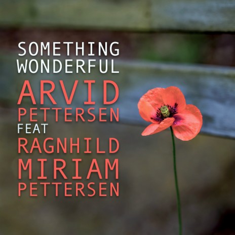 Something Wonderful ft. Ragnhild Miriam Pettersen | Boomplay Music