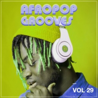 Afropop Grooves, Vol. 29