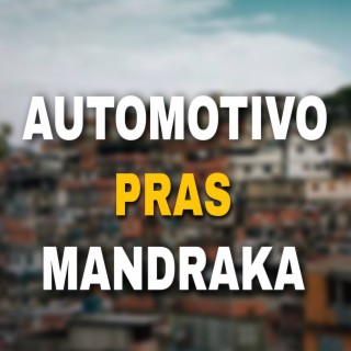 AUTOMOTIVO PRAS MANDRAKA