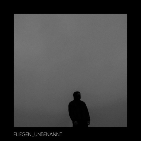 _FLIEGEN | Boomplay Music