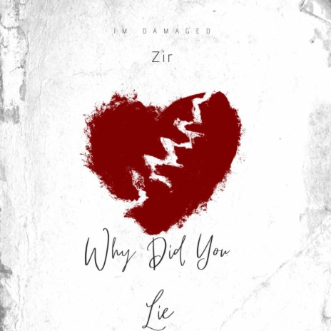 Why Did You Lie | Boomplay Music