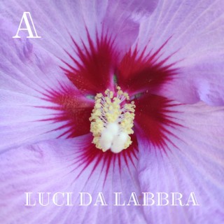Luci da Labbra (Ghost Rap) ft. Armomilla lyrics | Boomplay Music