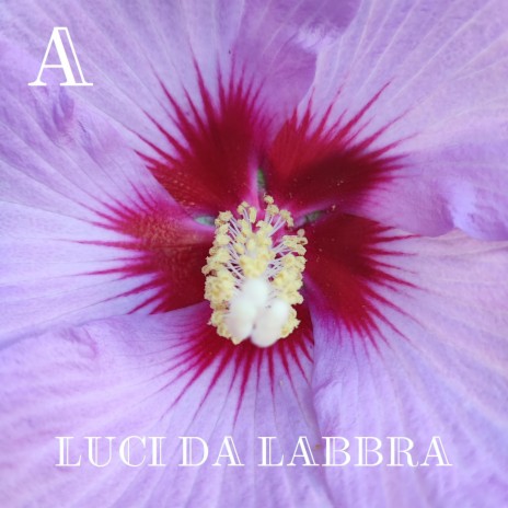 Luci da Labbra (Drumless) ft. Armomilla