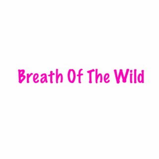 Breath Of The Wild
