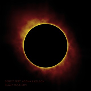 Black Hole Sun