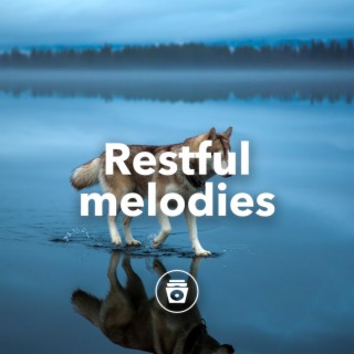 Restful Melodies