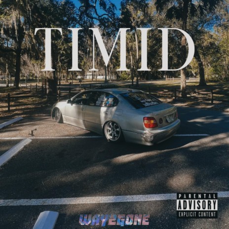 Timid | Boomplay Music