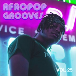Afropop Grooves, Vol. 25