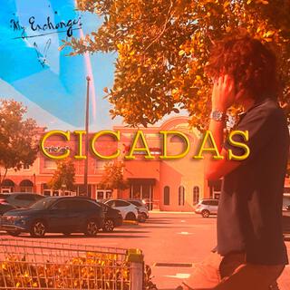 Cicadas