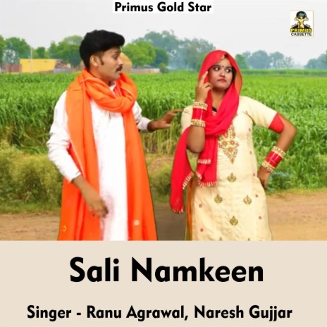 Sali Namkeen (Hindi Song) ft. Naresh Gujjar | Boomplay Music