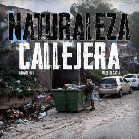 Naturaleza Callejera ft. Relikia Mic | Boomplay Music