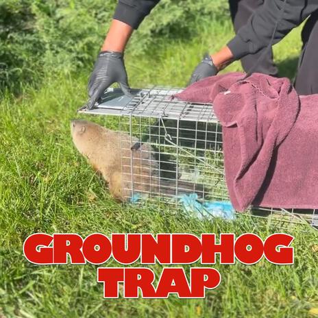 Groundhog Trap ft. Masta Ace | Boomplay Music