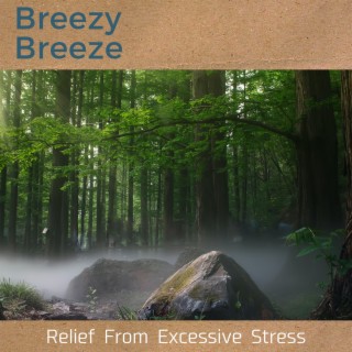 Relief from Excessive Stress