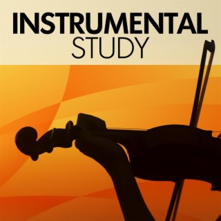 Instrumental Study