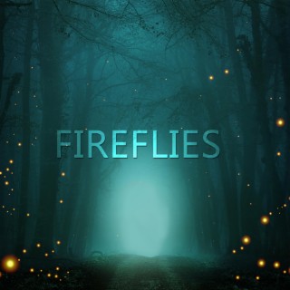 Fireflies lyrics | Boomplay Music