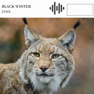 Lynx