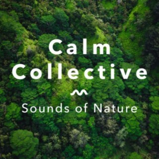 Sounds Of Nature