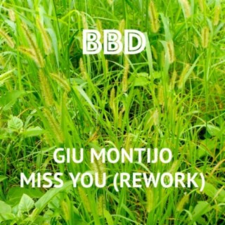 Miss You (Montijo, Giu Montijo Remix)