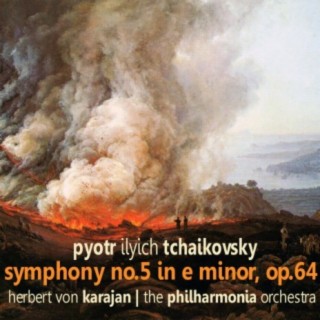 The Philharmonic Orchestra
