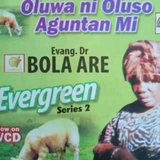 Evangelist (Dr) Bola Are