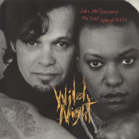 Wild Night ft. Meshell Ndegeocello | Boomplay Music