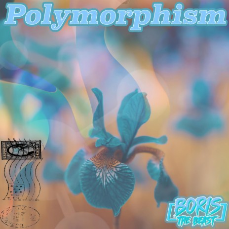 Polymorphism | Boomplay Music