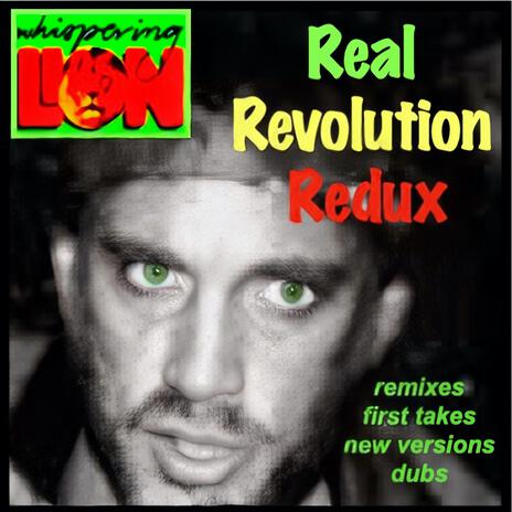 Real Revolution Redux | Boomplay Music