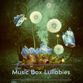 Music Box Lullabies