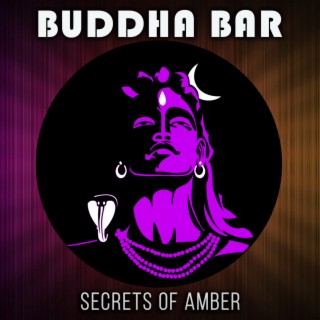 Secrets Of Amber