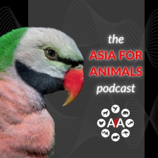 The Asia for Animals podcast