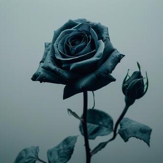 Black Rose 2