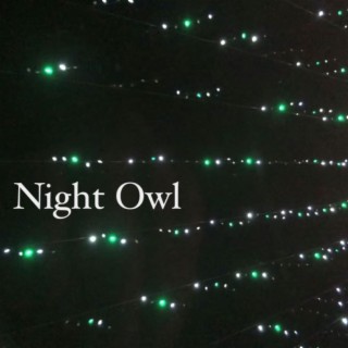 Night Owl (Acoustic)