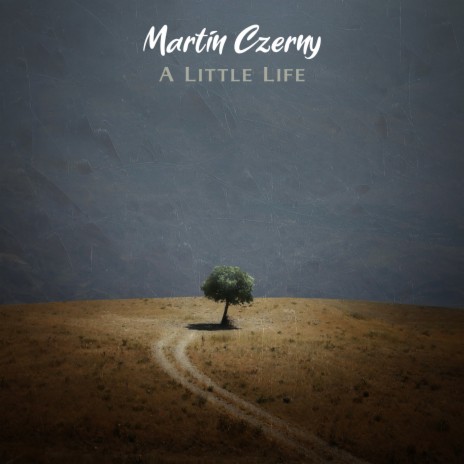 A Little Life | Boomplay Music