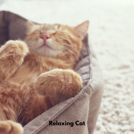 Purring Serenades ft. Soothing Cat Music & Sleepy Cats | Boomplay Music