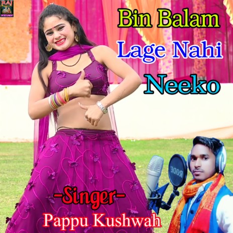 Bin Balam Lage Nahi Neeko | Boomplay Music