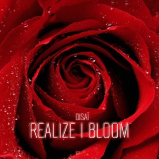 Realize & Bloom lyrics | Boomplay Music