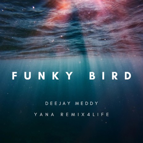 Funky Bird (Remix) ft. Yana Remix4life | Boomplay Music