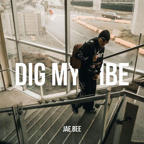 Dig My Vibe | Boomplay Music