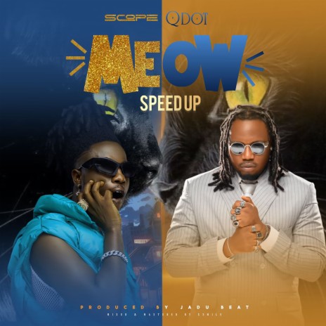 Meow (Speed up) ft. Qdot | Boomplay Music