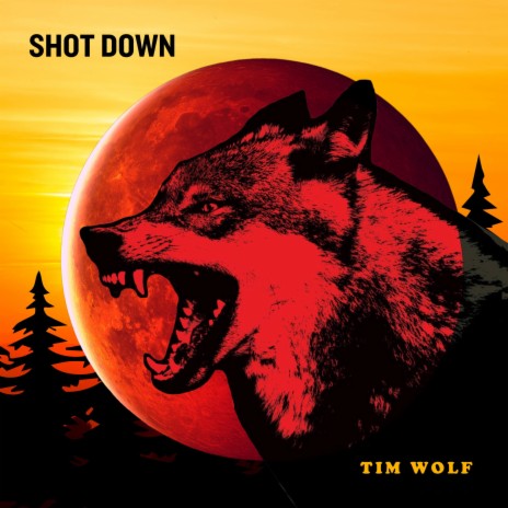 Shot Down (2024 Remix) | Boomplay Music