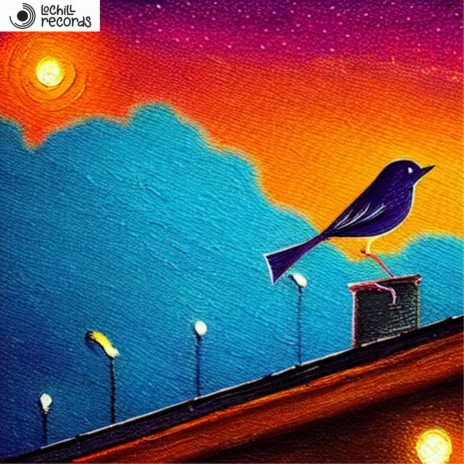 night bird | Boomplay Music