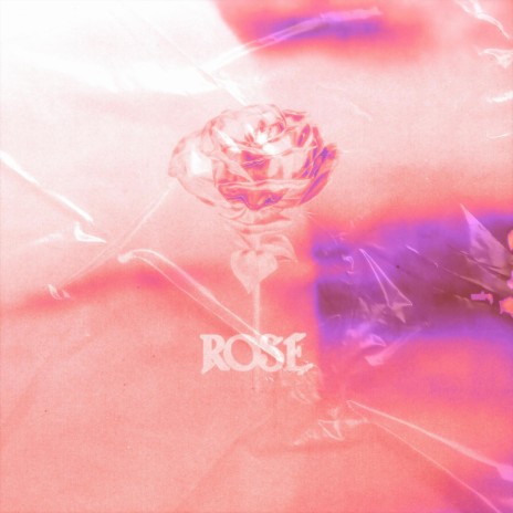 rose | Boomplay Music