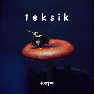 Toksik lyrics | Boomplay Music