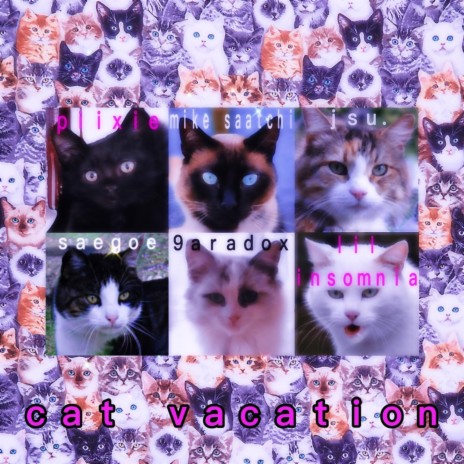 cat vacation ft. lilinsomnia, saegoe, 9aradox, jsu. & piixie | Boomplay Music