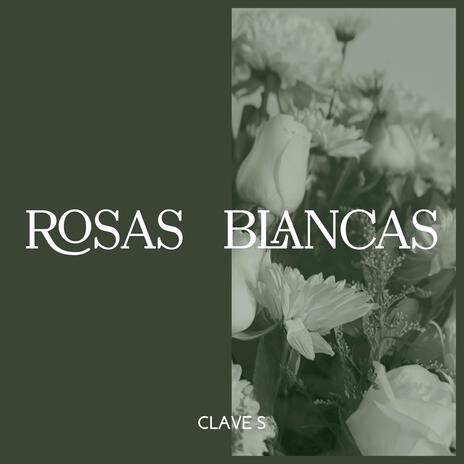 Rosas Blancas | Boomplay Music